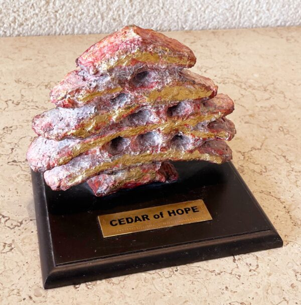 Cedar of Hope