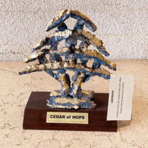 Cedar of Hope